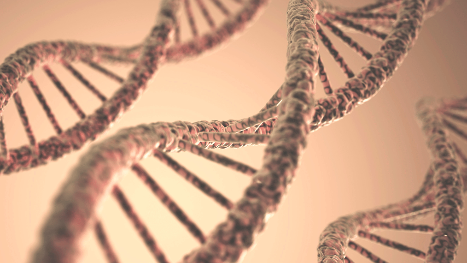 Sådan foregår en DNA-test hos Valida Health: fra bestilling til resultat
