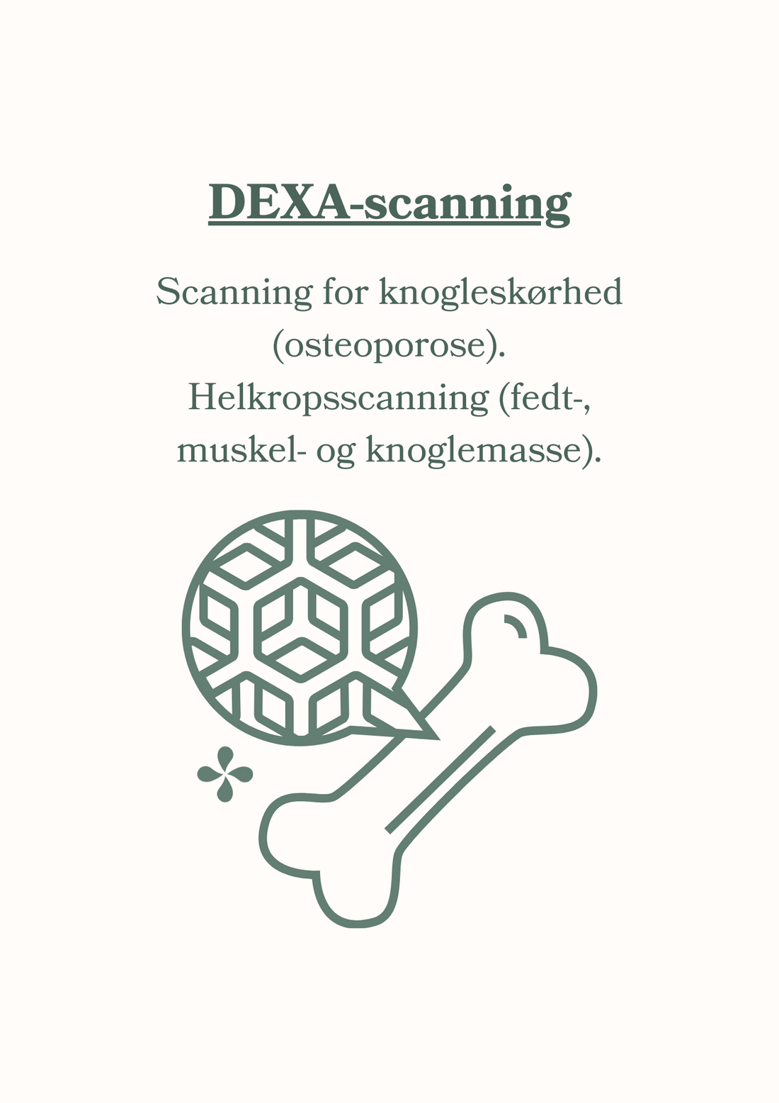 DEXA-Scanning